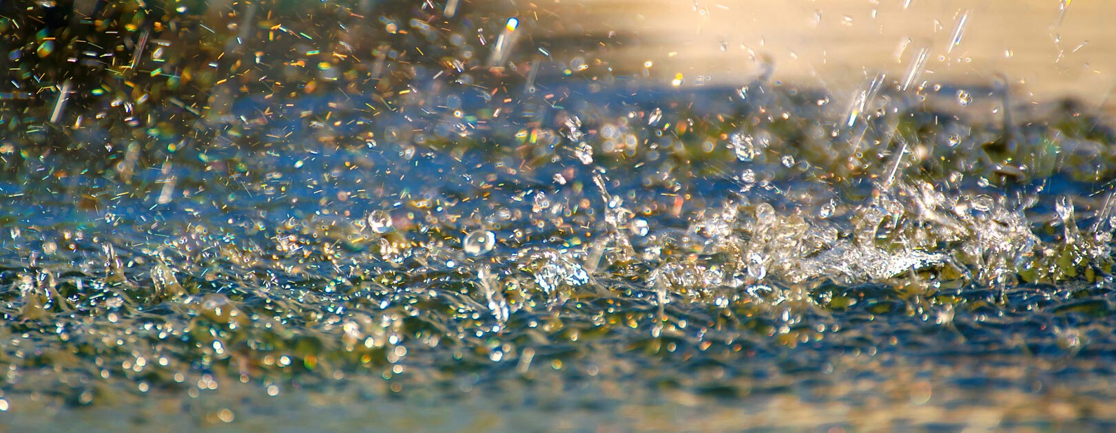 Regen- und Grauwassernutzung
